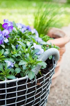 Korbo Wire basket Classic 24 trådkorg, galvaniserad