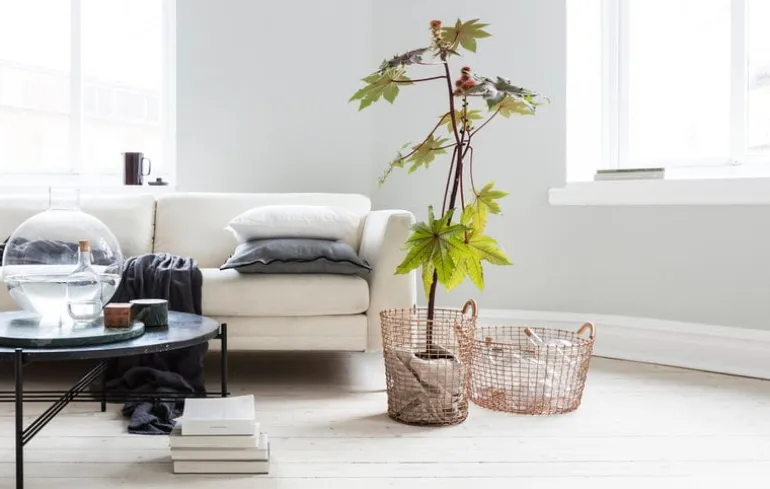 Korbo Wire Bin 18, koppar