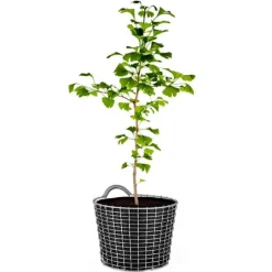 Korbo Wire Bin 18, syrabeständig