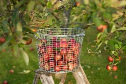 Korbo Wire bucket 24 trådkorg, galvaniserad