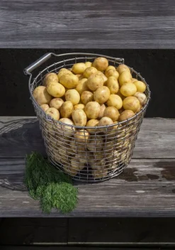 Korbo Wire bucket 24 trådkorg, galvaniserad