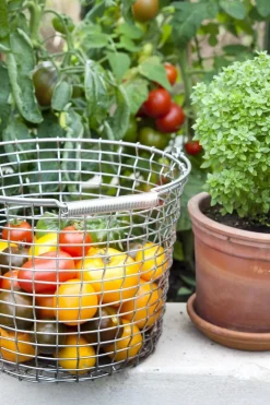 Korbo Wire bucket 16 trådkorg, galvaniserad