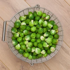 Korbo Wire bucket 16 trådkorg, galvaniserad