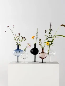 Kosta Boda Bod flaska, 230 mm, klar - kork