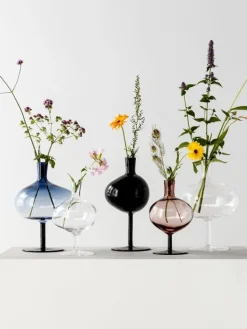 Kosta Boda Bod flaska, 230 mm, vinröd - kork