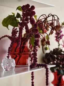 Kosta Boda Snowball ljuslykta, 60 mm, genomskinlig