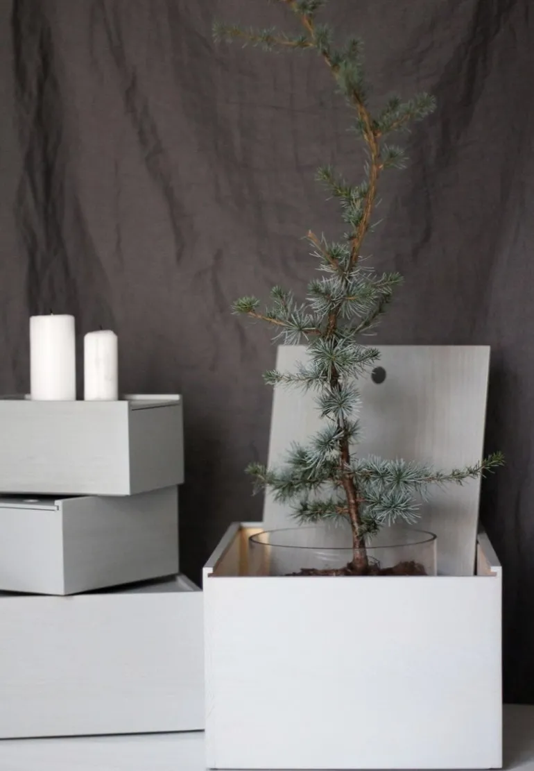 Lundia System 1 låda, grå