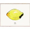 MADO Lemon poster 40 x 30 cm