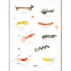 MADO The Mado Family poster, 50 x 70 cm