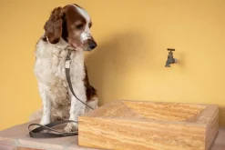 Masimalo Colour Block halsband, ljus salvia - khaki