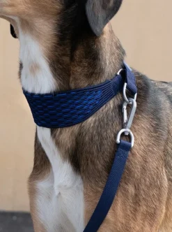 Masimalo 3D Knit halsband, navy - kunglig blå