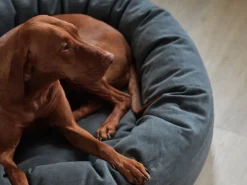 Matri Hundbädd, S, Wooly, grafit