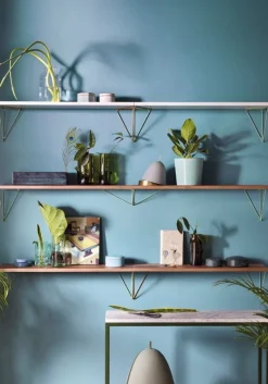 Maze Pythagoras hylla, 80 x 20 cm, valnöt