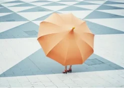 Mirlo Parasoll, orange