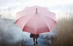 Mirlo Parasoll, rosa