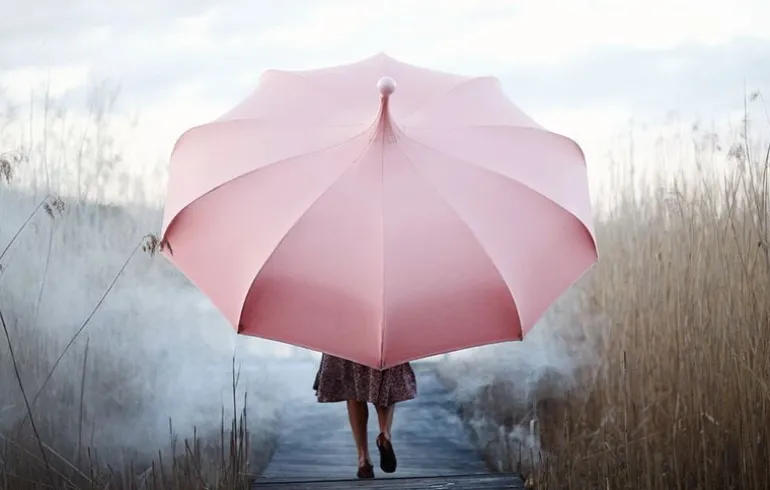 Mirlo Parasoll, rosa