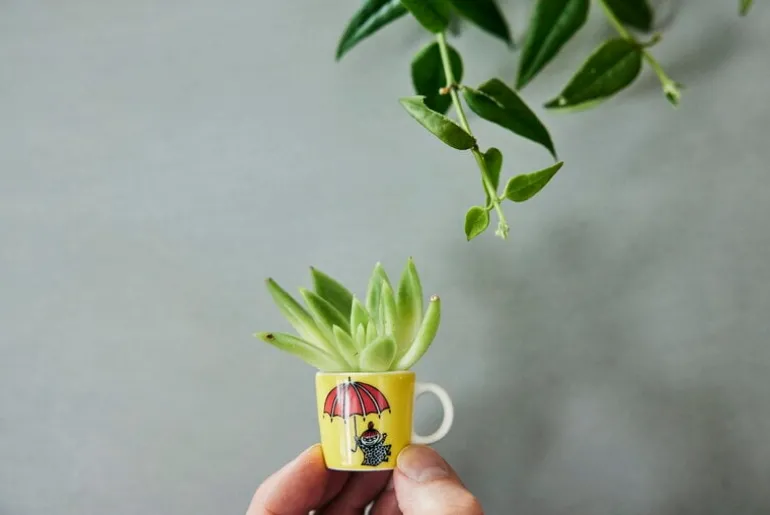 Moomin Arabia Mumin minimuggar, 6 st, 3. classics