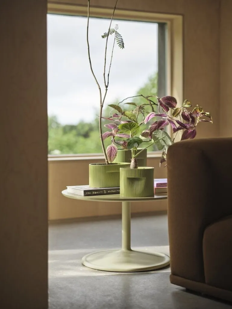 Muuto Ridge blomkruka, h 24 cm, mossgrön