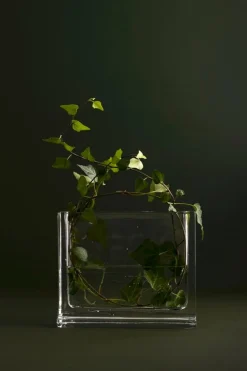 Nedre Foss Monoblokk vas, klart glas