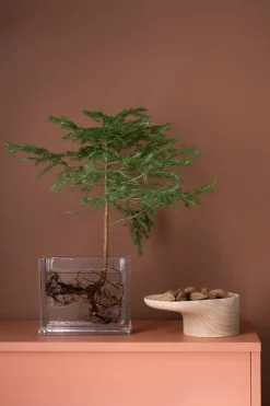 Nedre Foss Platå bricka, ask