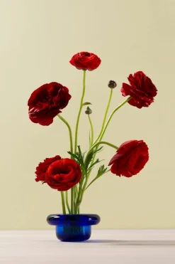 Nedre Foss Sirkel värmeljushållare, koboltblå