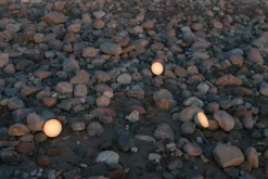 New Works Sphere bärbar lampa, grön