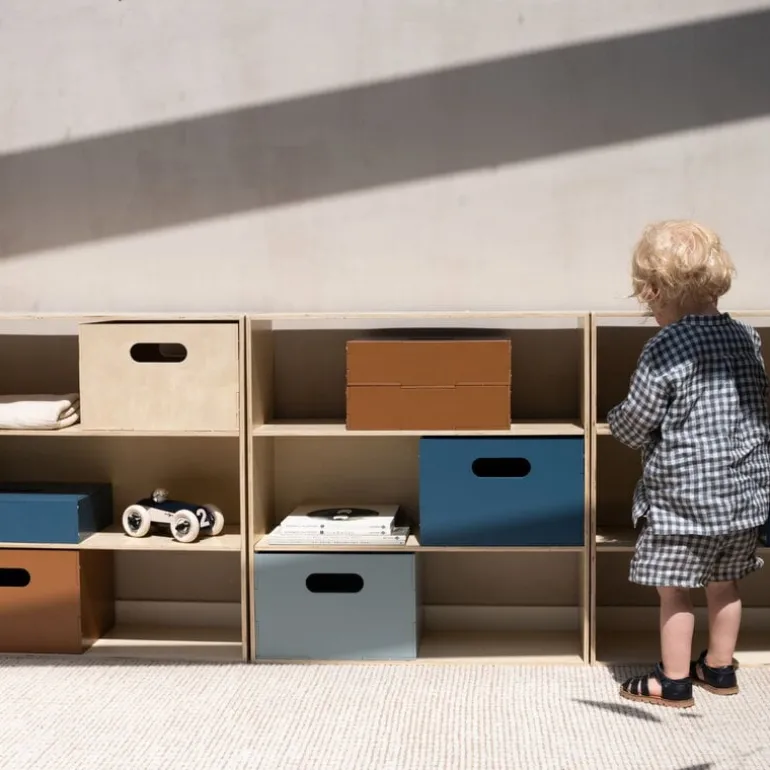 Nofred Kiddo hylla, björk