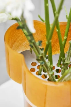 Northern Fab vas, gul