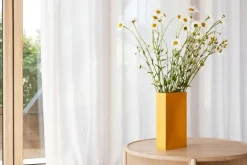 Northern Into vas, gul