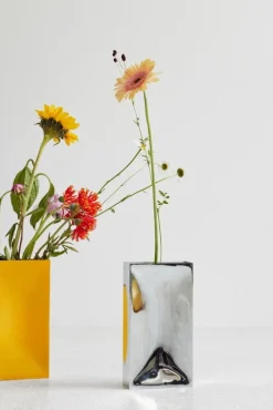 Northern Into vas, gul