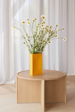 Northern Into vas, gul