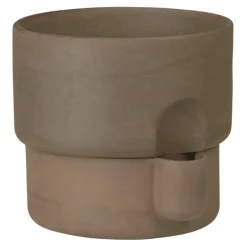 Northern Oasis blomkruka, medium, mörkbrun