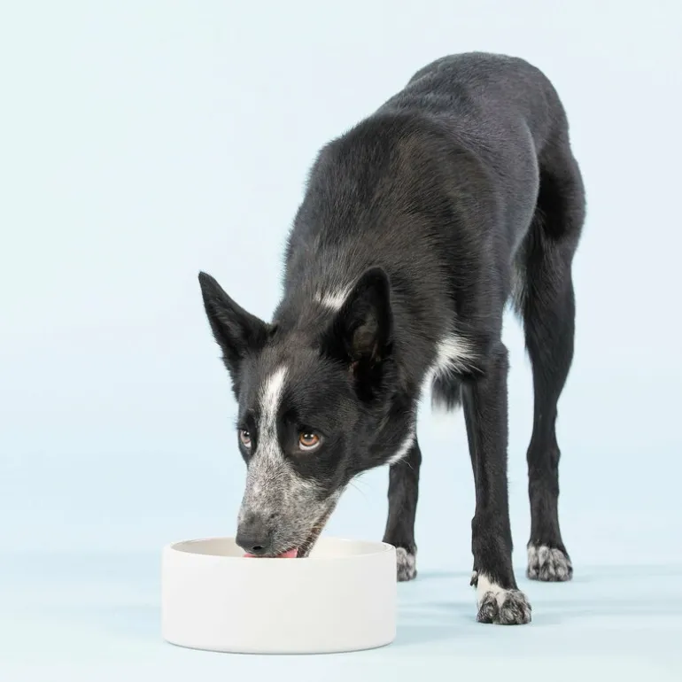 PAIKKA Cool skål L, betong