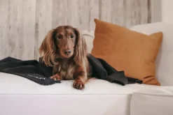 PAIKKA Recovery filt, grå