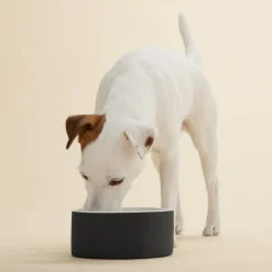 PAIKKA Slow Feed skål, M, svart