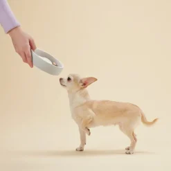 PAIKKA Slow Feed skål, XS, grå