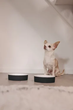 PAIKKA Slow Feed skål, XS, svart