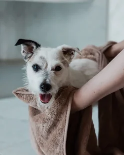 PAIKKA Torkhandduk, 40 x 100 cm, taupe