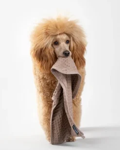 PAIKKA Torkhandduk, 30 x 50 cm, taupe