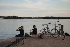 Pelago Bicycles Bristol cykel, M, svart