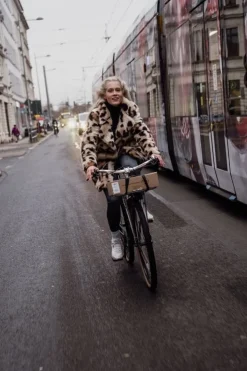 Pelago Bicycles Commuter Front Rack, L, polerat aluminium