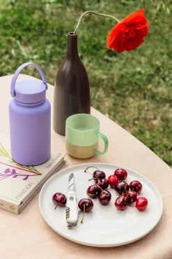 Phaidon Den Säsongsbetonade Trädgårdsmästaren: Kreativa Planteringskombi