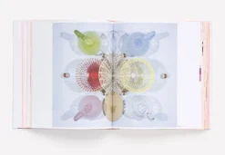 Phaidon Reproducing Scholten & Baijings