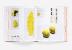 Phaidon Reproducing Scholten & Baijings