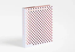 Phaidon Reproducing Scholten & Baijings