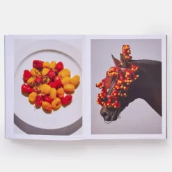 Phaidon The River Cafe Look Book, Recipes for Kids of all Ages