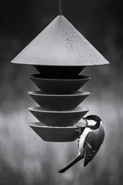 Pidät Bird Silo fågelmatare, grön