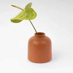 Raawii Omar vas, kanel