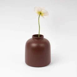 Raawii Omar vas, tawny