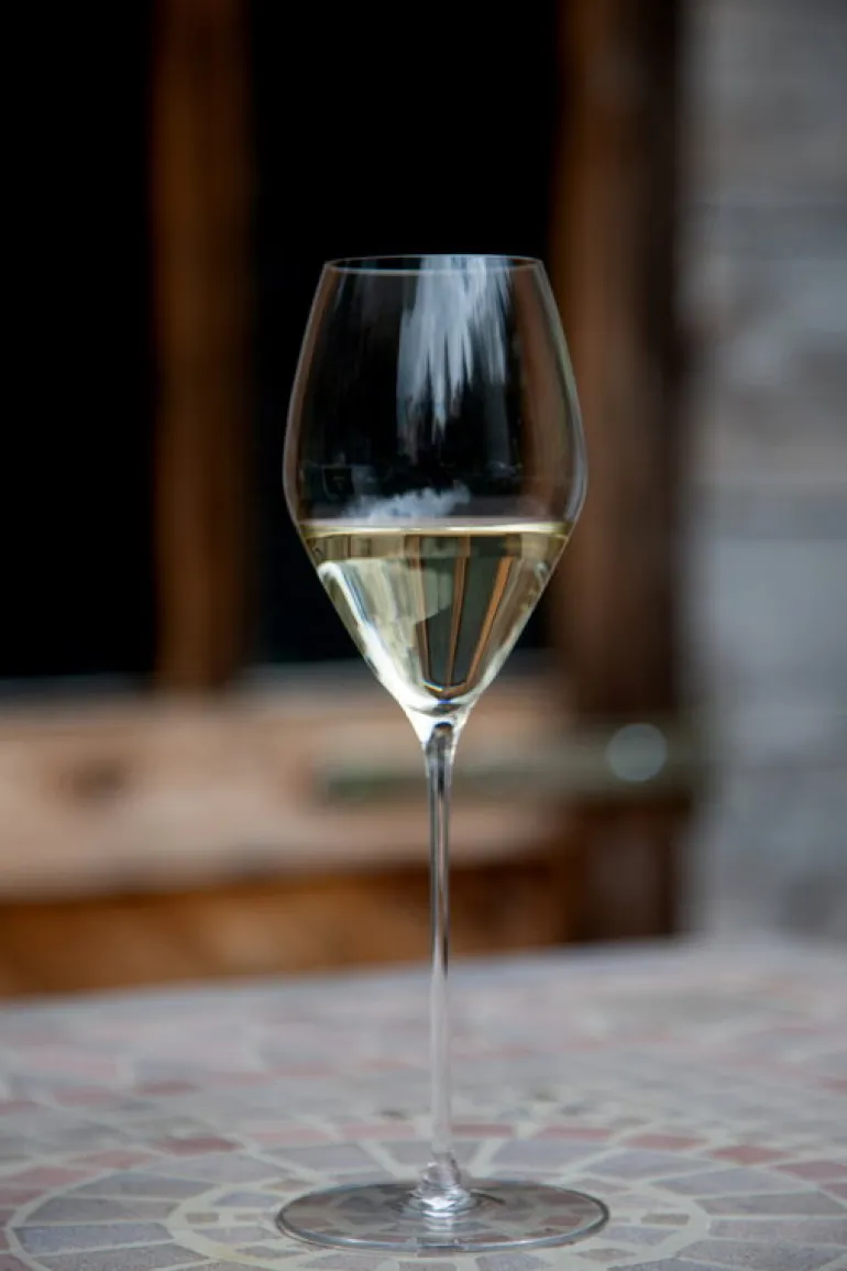 Riedel Veloce Sauvignon Blanc / Rosee vinglas, 2 st